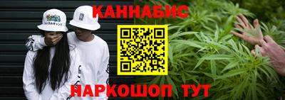 индика Ирбит