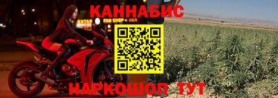 индика Ирбит