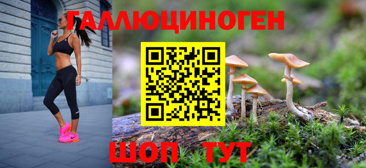 Краснокаменск  Псилоцибиновые грибы Magic Shrooms  Вход с VPN 