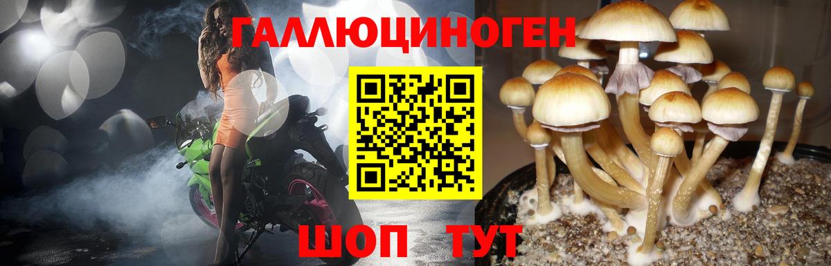 Псилоцибиновые грибы прущие грибы Краснокаменск